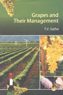 Stock image for Grapes and Their Management for sale by Books Puddle