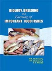 Stock image for Biology Breeding and Farming of Important Food Fishes for sale by Books Puddle