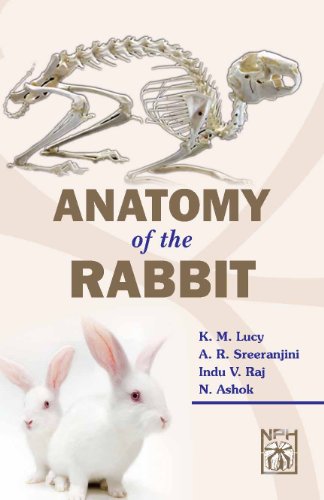 9789380428666: Anatomy of the Rabbit [Hardcover] [Jan 01, 2012] Lucy, K M