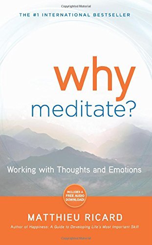 Beispielbild fr Why Meditate ? Working With Thoughts Pb zum Verkauf von Better World Books