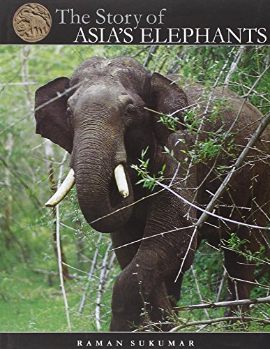 9789380581101: The Story of Asia's Elephants