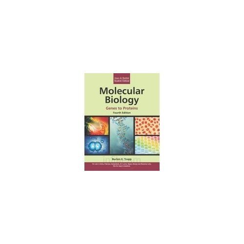 Stock image for MOLECULAR BIOLOGY: GENES TO PROTEINS, 4 E for sale by Books in my Basket