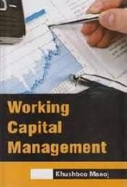9789380921297: Working Capital Management