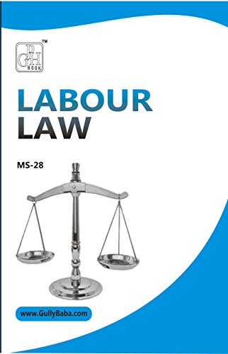 Stock image for Labor Law (MS-28) for sale by Books Puddle