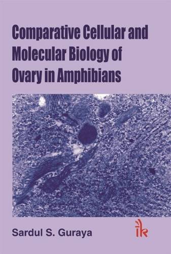 Beispielbild fr Comparative Cellular And Molecular Biology In Ovary In Amphibians zum Verkauf von Books in my Basket