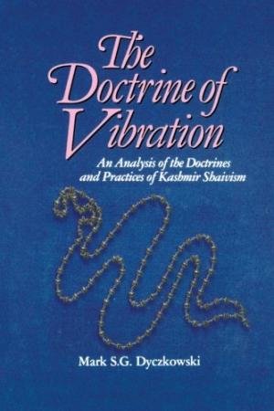 Imagen de archivo de The Doctrine of Vibration a la venta por Books Puddle