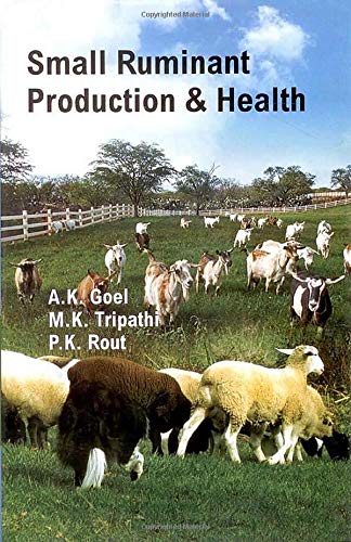 9789381226575: Small Ruminant Production & Health