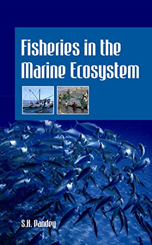 Stock image for Fisheries in the Marine Ecosystem for sale by Books Puddle