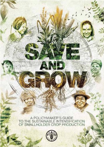 Stock image for Save and Grow: A Policy Makers Guide to the Sustainable. for sale by Books Puddle