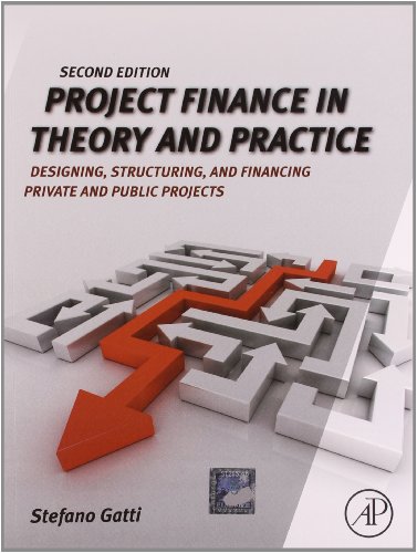 9789382291589: Project Finance in Theory and Practice, Second Edition: Designing, Structuring, and Financing Private and Public..