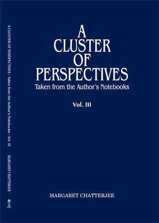 Stock image for A Cluster of Perspectives for sale by Books Puddle