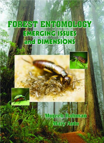 Imagen de archivo de Forest Entomology a la venta por Books Puddle