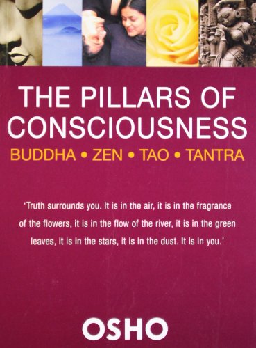 9789382616184: The Pillars of Consciousness