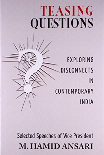 9789383098071: Teasing Questions Exporing Disconnects in Contemporary India