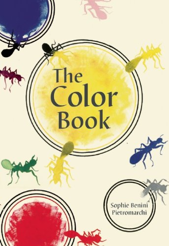Imagen de archivo de The Color Book a la venta por SecondSale