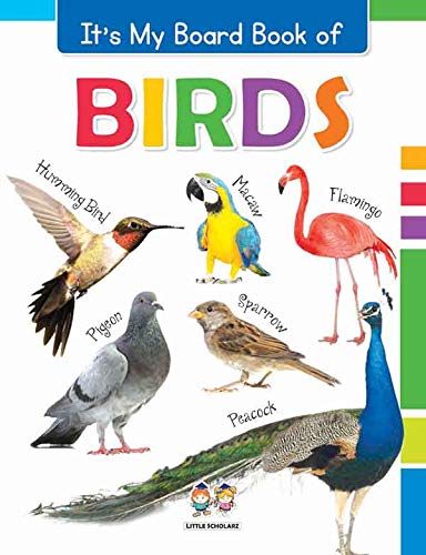 Stock image for It*s My Big Board Book of BIRDS for sale by dsmbooks