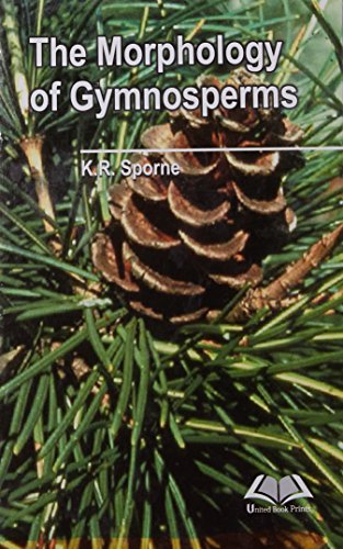 Imagen de archivo de The Morphology of Gymnosperms : The Structure and Evolution of Primitive Seed Plants a la venta por Books Puddle