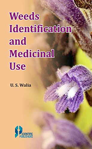 Imagen de archivo de Weeds Identification and Medicinal Use a la venta por Books Puddle