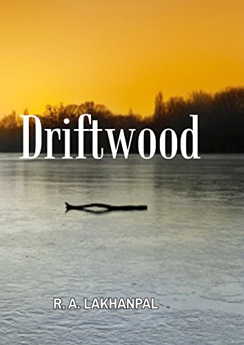 Stock image for Driftwood (First Edition, 2016) for sale by dsmbooks