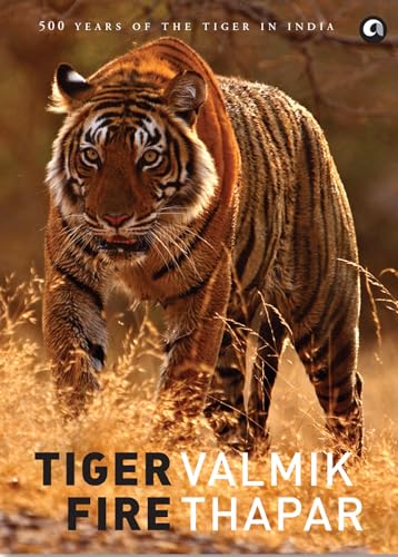 Stock image for Tiger Fire: 500 Years of Tigers in India for sale by SecondSale