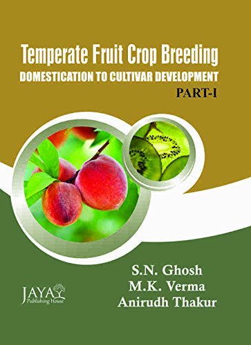 9789384337155: Temperate Fruit Crop Breeding Domestication to Cultivar Development