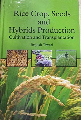 Stock image for Rice Crop, Seeds and Hybrids Production for sale by Books Puddle