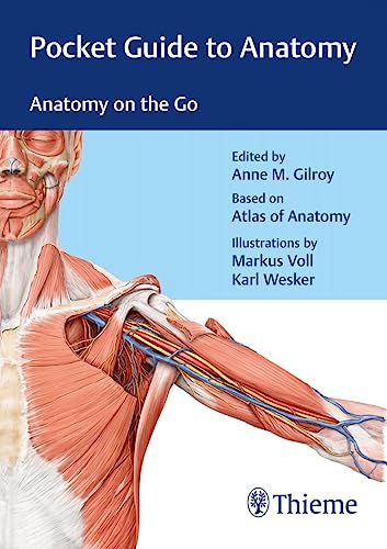 Stock image for Pocket Guide To Anatomy (Pb 2018) for sale by GF Books, Inc.