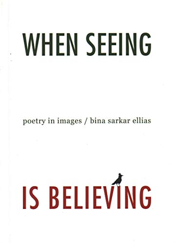 9789385360572: When Seeing Is Believing