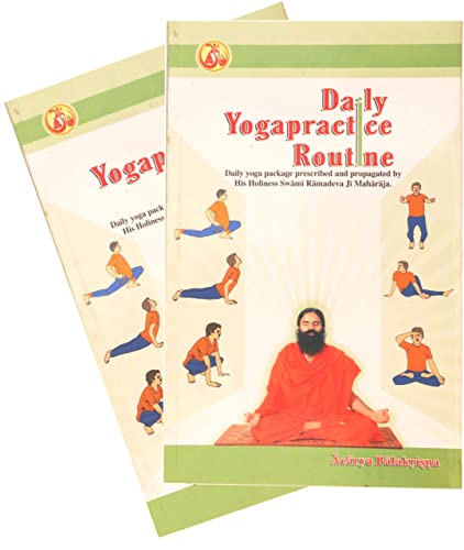 Stock image for Daily Yogapractice Routine/ Dainandin Yogabhyaskram for sale by Books Puddle