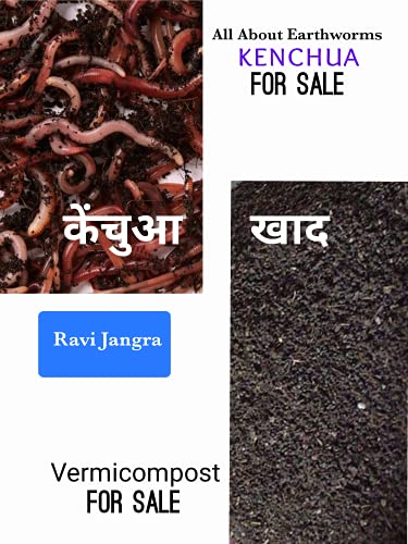 Stock image for All About Earthworms for sale by Books in my Basket