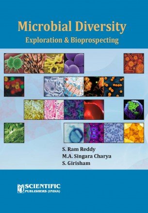 Stock image for Microbial Diversity Exploration And Bioprospecting P/B for sale by Books Puddle