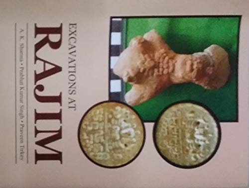 9789386223838: Excavations ar Rajim