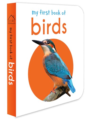 Beispielbild fr My First Book of Birds : First Board Book zum Verkauf von Better World Books