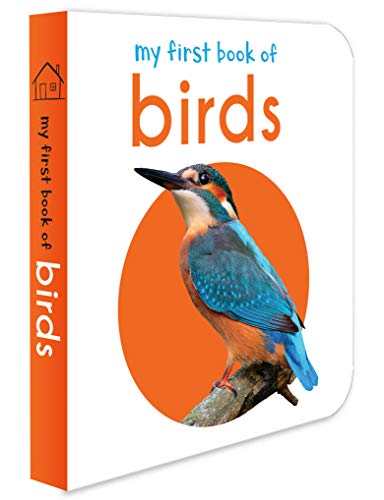 Stock image for My First Book Of Birds: First Board Book for sale by SecondSale