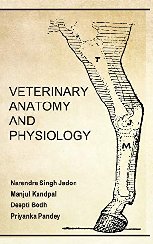 Stock image for Veterinary Anatomy and Physiology for sale by Books in my Basket