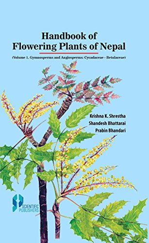 Stock image for Handbook of Flowering Plants of Nepal: Vol. I for sale by Vedams eBooks (P) Ltd