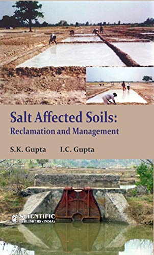 Stock image for Salt Affected Soils: Reclamation and Management for sale by Books Puddle