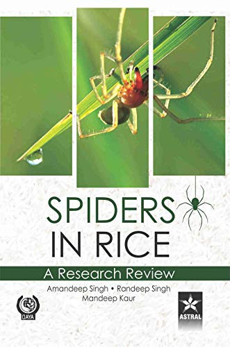 Stock image for Spiders in Rice: A Research Review for sale by Vedams eBooks (P) Ltd