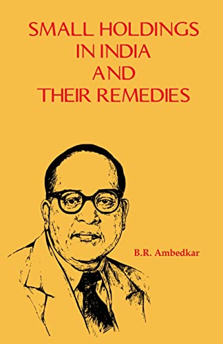 Stock image for SMALL HOLDINGS IN INDIA AND THEIR REMEDIES for sale by Books Puddle