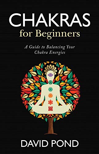 Beispielbild fr Chakras for beginners zum Verkauf von Books in my Basket