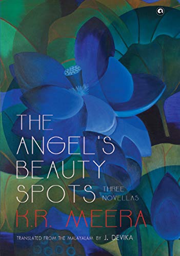 Imagen de archivo de The Angel S Beauty Spots a la venta por Books in my Basket