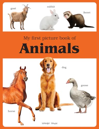 Stock image for My First Book of Animals for sale by ThriftBooks-Dallas