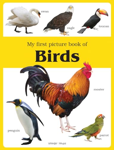 Stock image for My first picture book of Birds for sale by Books Puddle