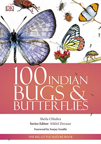 Beispielbild fr 100 Indian Bugs And Butterflies: Big Little Nature Companion (Lead Title) zum Verkauf von dsmbooks