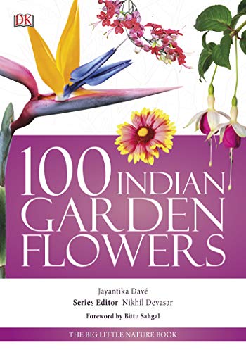 Stock image for 100 Indian Garden Flowers :Big Little Nature Companion (Lead Title) for sale by GF Books, Inc.