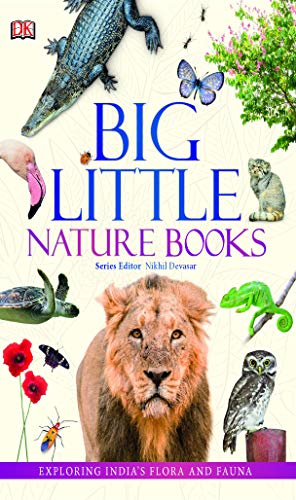 Stock image for Big Little Nature Books: Exploring Indias Flora and Fauna for sale by mountain
