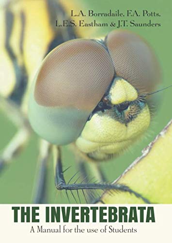 Beispielbild fr THE INVERTEBRATA: A Manual for the use of Students zum Verkauf von Revaluation Books