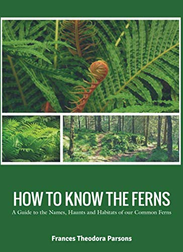 Stock image for HOW TO KNOW THE FERNS: A Guide to the Names, Haunts and Habitats of our Common Ferns for sale by Revaluation Books