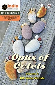 Beispielbild fr Opus of Octets (Volume 6): 108 Verse-Visuals zum Verkauf von Books Puddle