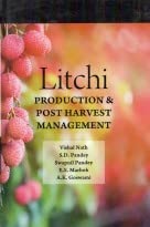 Stock image for Litchi: Production and Postharvest Management for sale by Books Puddle